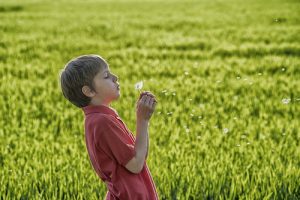 photo credit: Roberto.Trombetta <a href="http://www.flickr.com/photos/29370225@N03/41712794780">dandelion</a> via <a href="http://photopin.com">photopin</a> <a href="https://creativecommons.org/licenses/by-nc/2.0/">(license)</a>